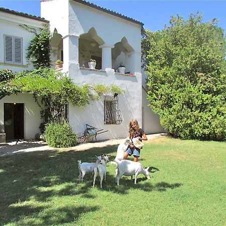 Agriturismo "Borgo Madonna Degli Angeli" - Charming Cottages In The Gardens ! Tocco da Casauria Kültér fotó