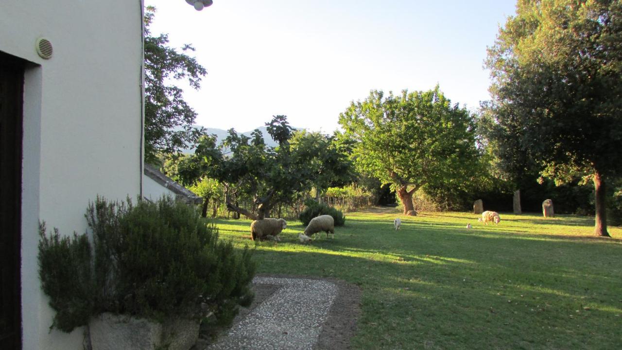 Agriturismo "Borgo Madonna Degli Angeli" - Charming Cottages In The Gardens ! Tocco da Casauria Kültér fotó
