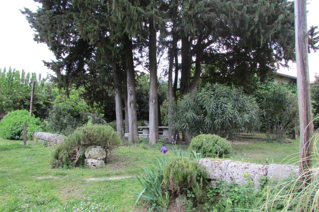 Agriturismo "Borgo Madonna Degli Angeli" - Charming Cottages In The Gardens ! Tocco da Casauria Kültér fotó