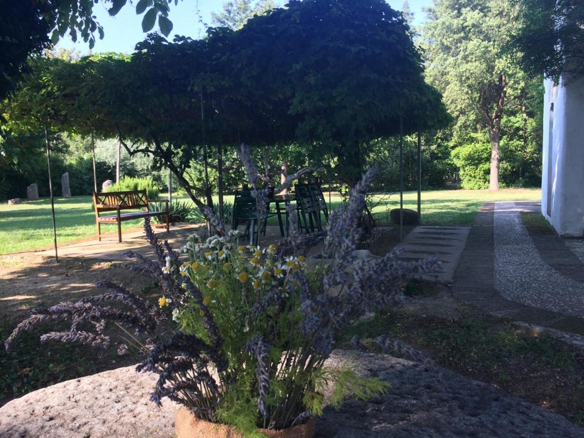 Agriturismo "Borgo Madonna Degli Angeli" - Charming Cottages In The Gardens ! Tocco da Casauria Kültér fotó