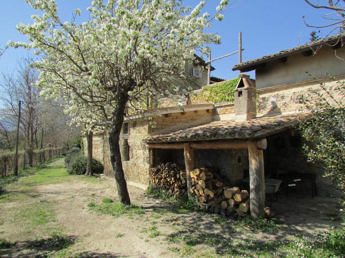 Agriturismo "Borgo Madonna Degli Angeli" - Charming Cottages In The Gardens ! Tocco da Casauria Kültér fotó