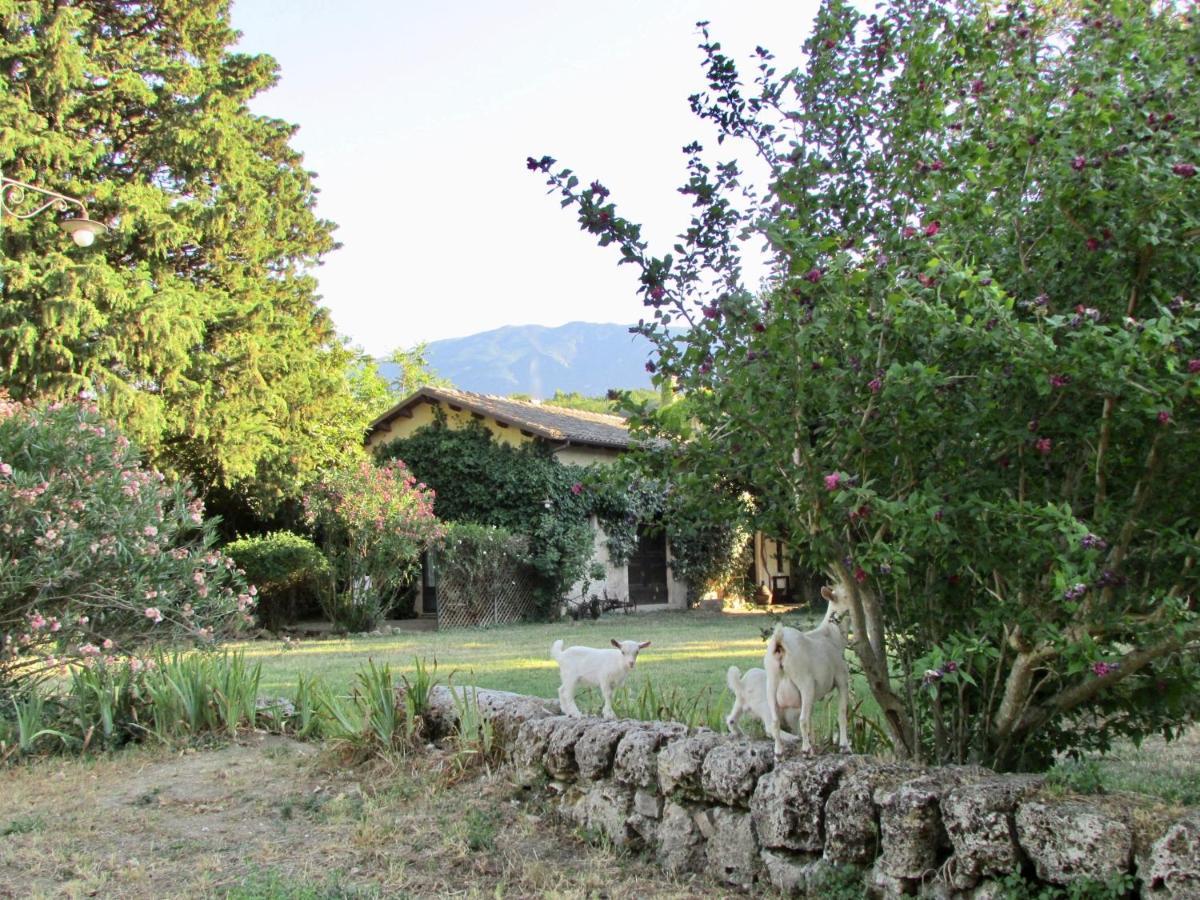 Agriturismo "Borgo Madonna Degli Angeli" - Charming Cottages In The Gardens ! Tocco da Casauria Kültér fotó