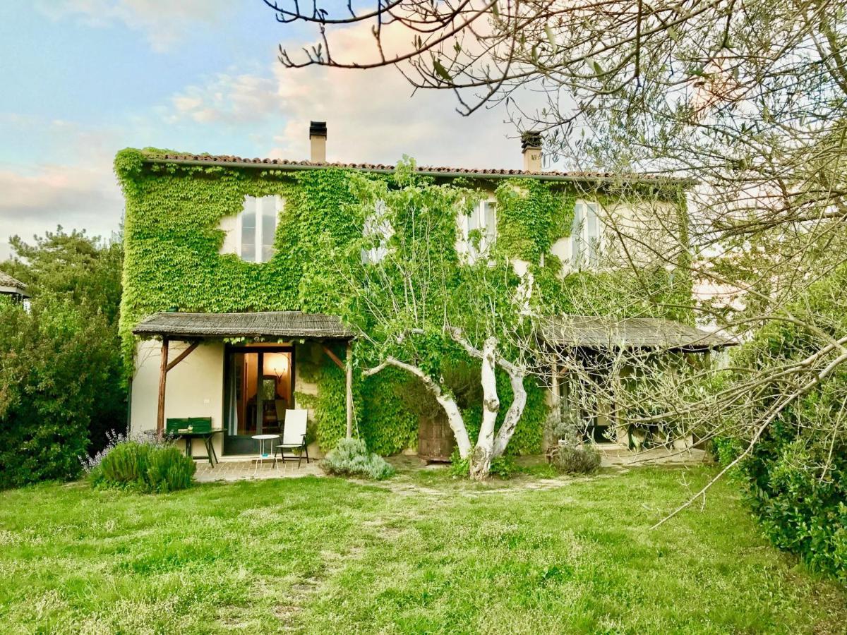 Agriturismo "Borgo Madonna Degli Angeli" - Charming Cottages In The Gardens ! Tocco da Casauria Kültér fotó