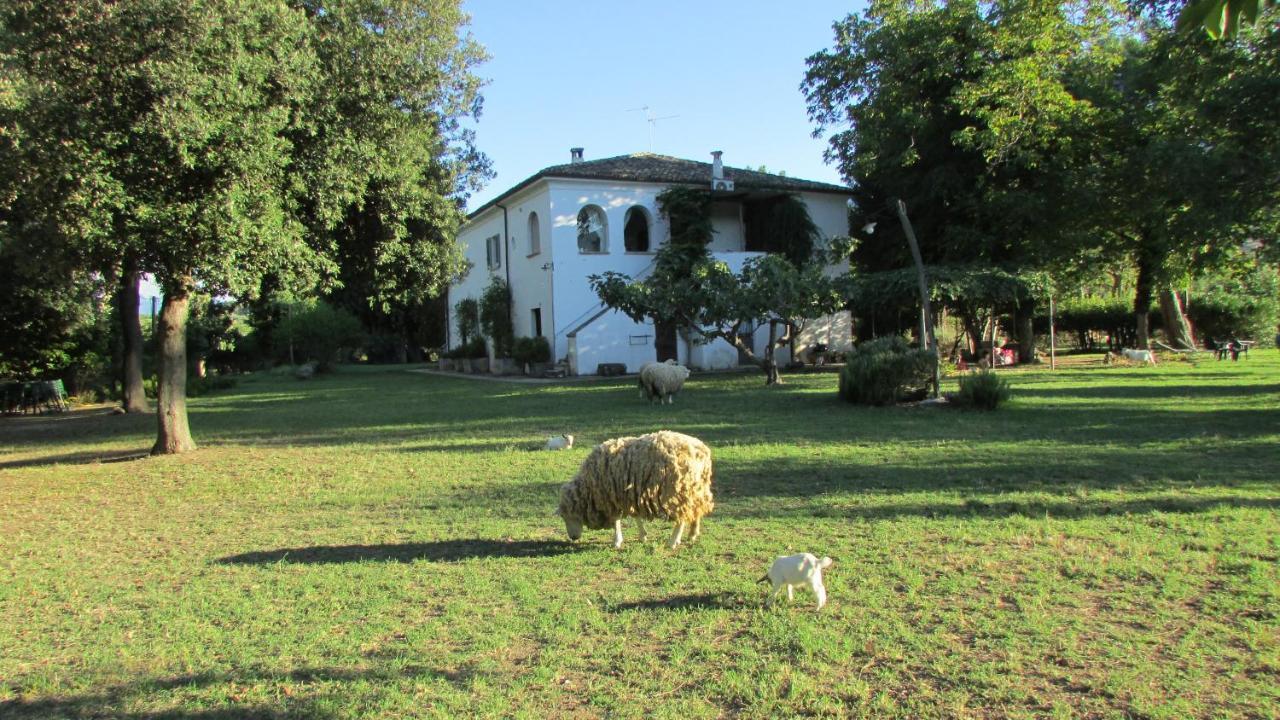 Agriturismo "Borgo Madonna Degli Angeli" - Charming Cottages In The Gardens ! Tocco da Casauria Kültér fotó