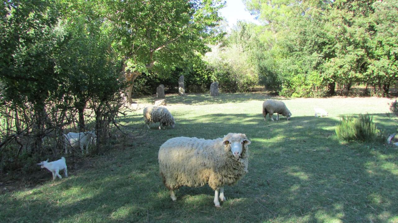 Agriturismo "Borgo Madonna Degli Angeli" - Charming Cottages In The Gardens ! Tocco da Casauria Kültér fotó