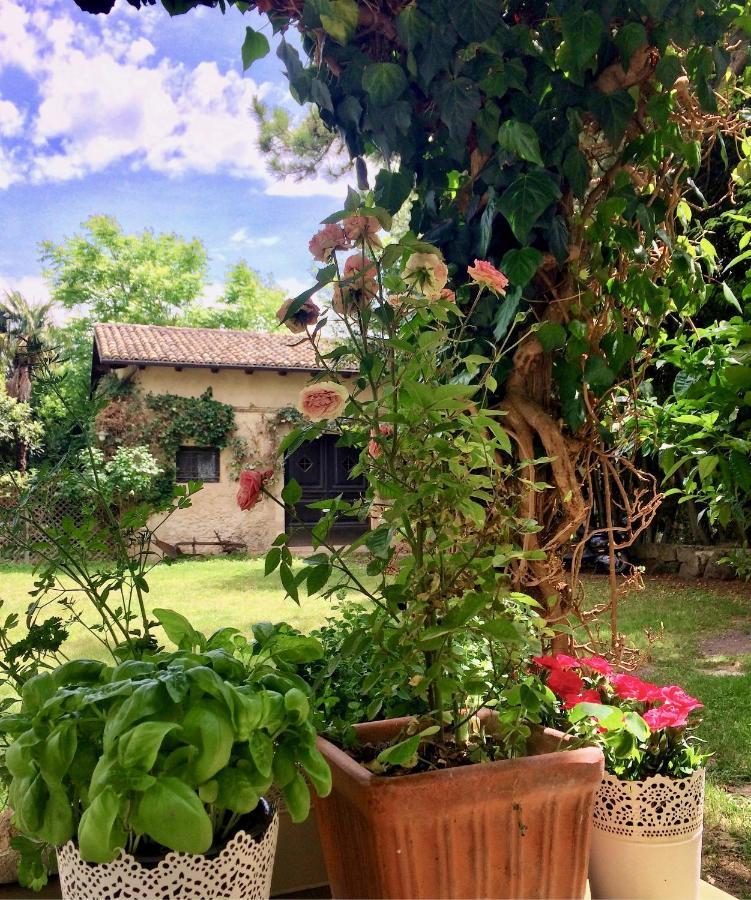Agriturismo "Borgo Madonna Degli Angeli" - Charming Cottages In The Gardens ! Tocco da Casauria Kültér fotó