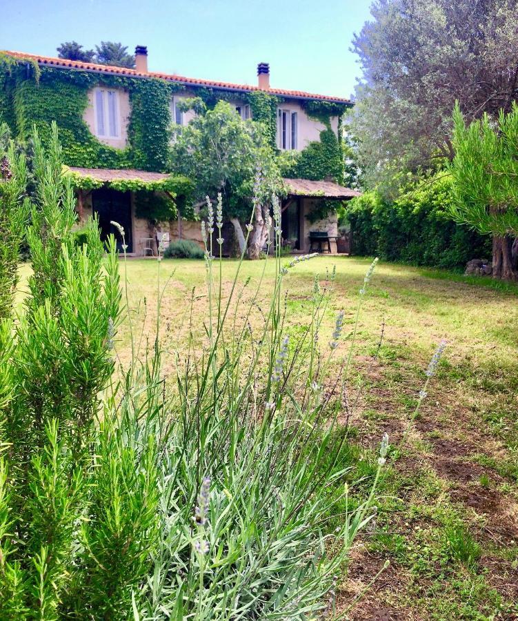 Agriturismo "Borgo Madonna Degli Angeli" - Charming Cottages In The Gardens ! Tocco da Casauria Kültér fotó