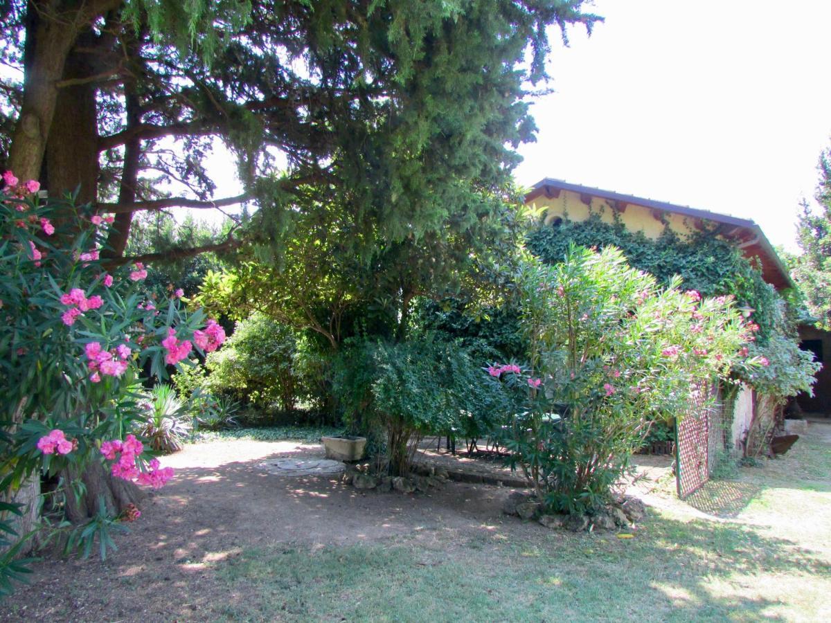 Agriturismo "Borgo Madonna Degli Angeli" - Charming Cottages In The Gardens ! Tocco da Casauria Kültér fotó
