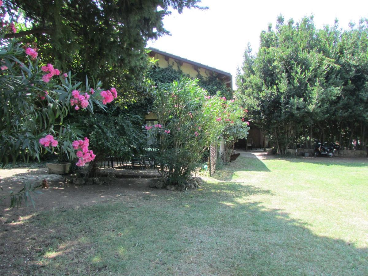 Agriturismo "Borgo Madonna Degli Angeli" - Charming Cottages In The Gardens ! Tocco da Casauria Kültér fotó