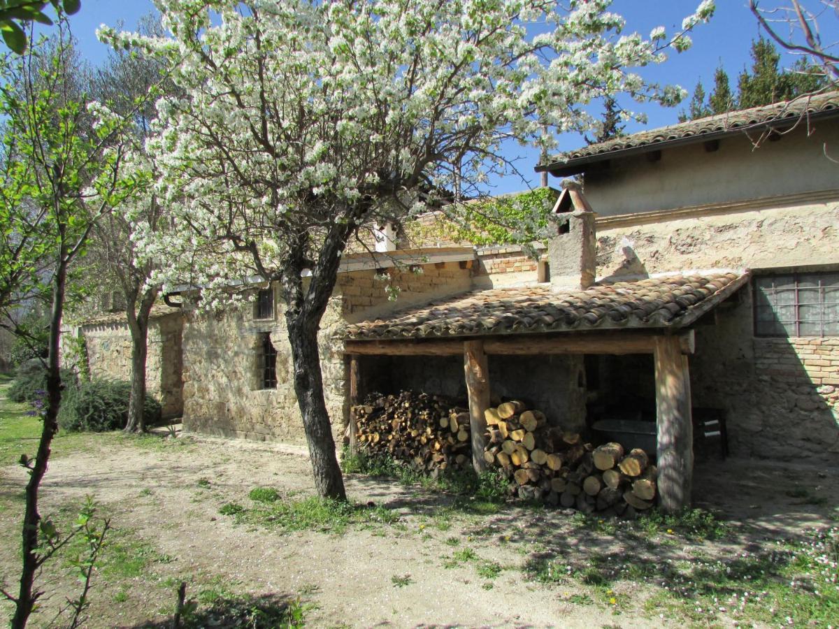 Agriturismo "Borgo Madonna Degli Angeli" - Charming Cottages In The Gardens ! Tocco da Casauria Kültér fotó