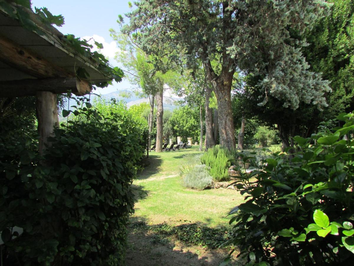Agriturismo "Borgo Madonna Degli Angeli" - Charming Cottages In The Gardens ! Tocco da Casauria Kültér fotó